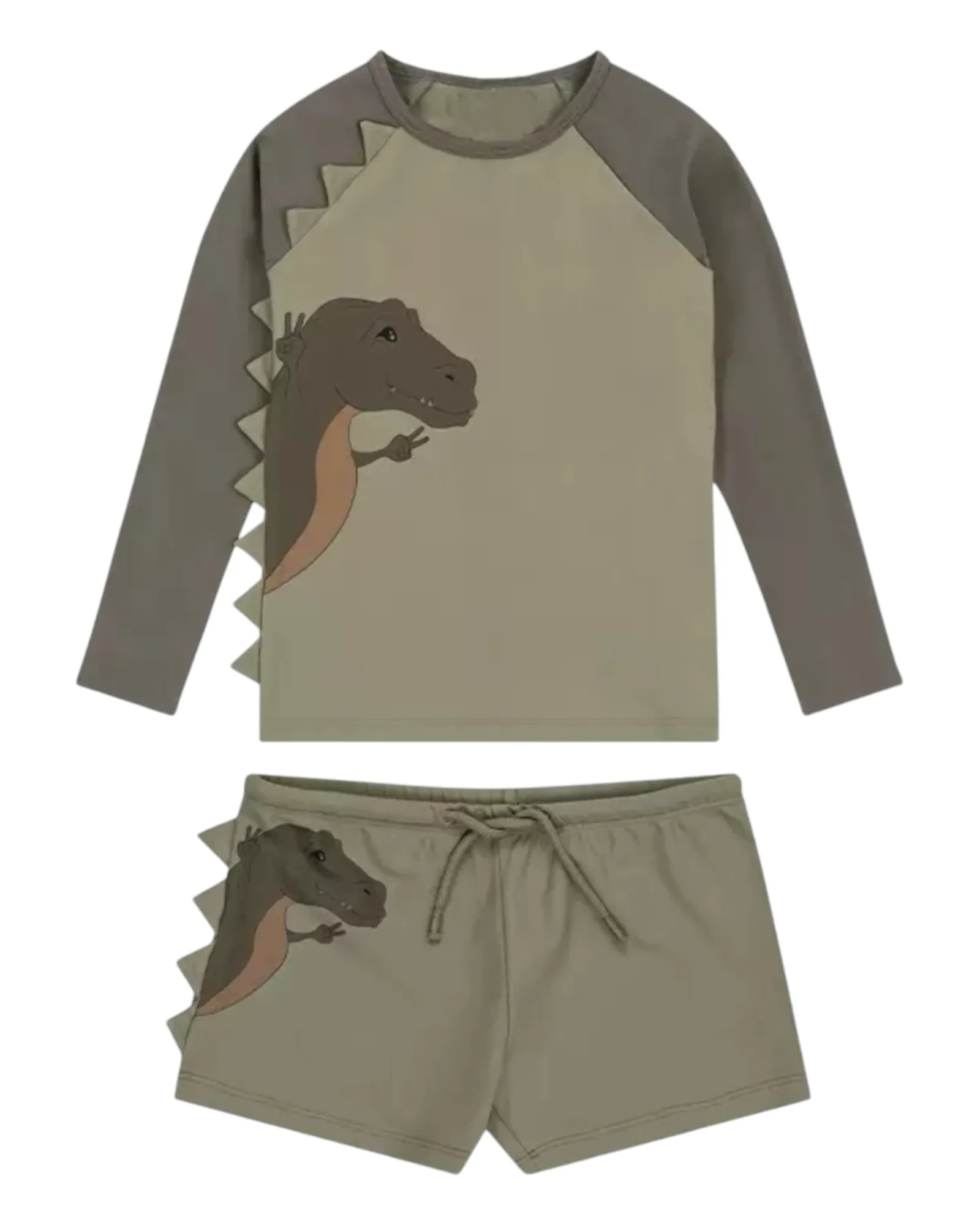 Boys' dinosaur swimwear set