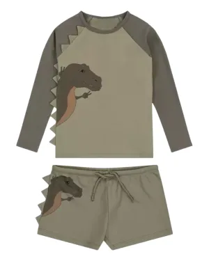 Boys' dinosaur swimwear set