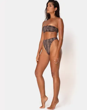 Izarla Bikini Bottom in Snake Taupe