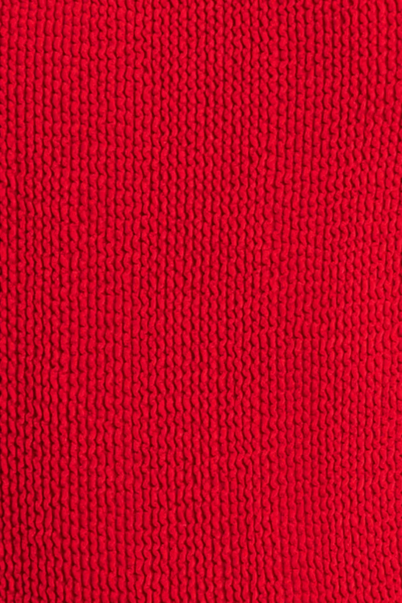 Palmer Brief