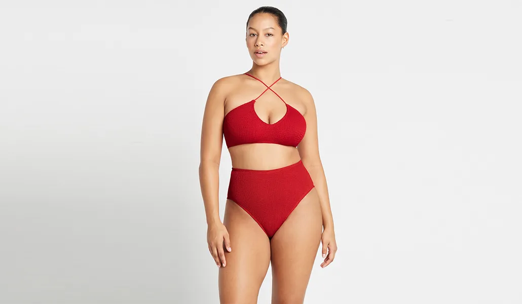 Palmer Brief